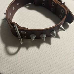 Studded Leather Dog Collar